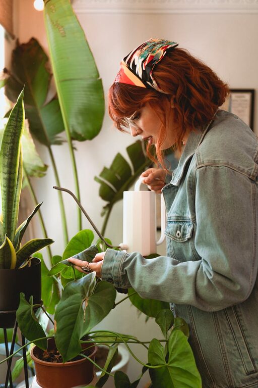 Consejos para cuidar plantas de interior y mantenerlas saludables todo el año
